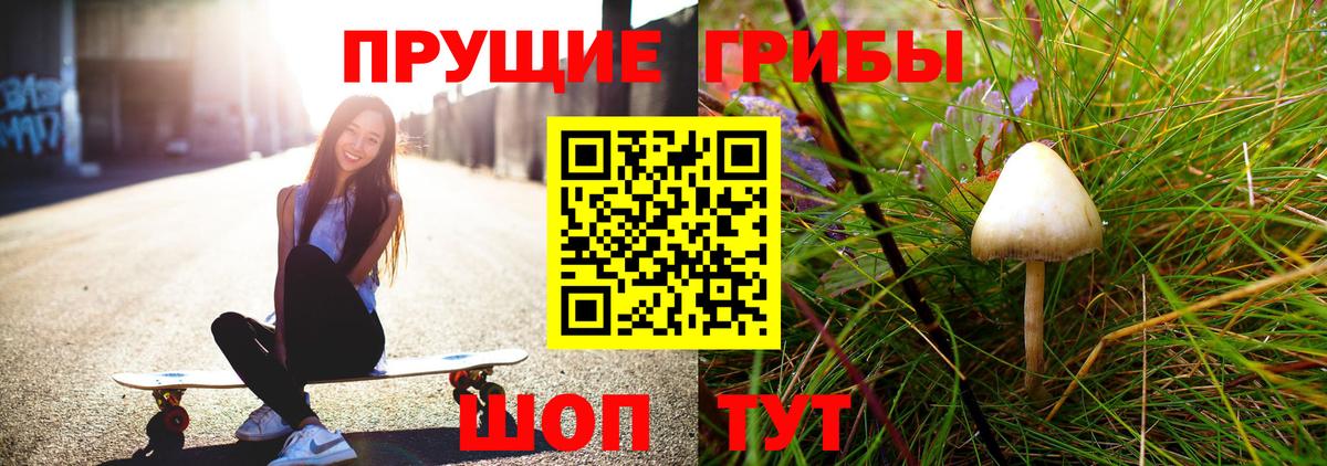 Красногорск  Псилоцибиновые грибы Psilocybe  Вход с VPN 