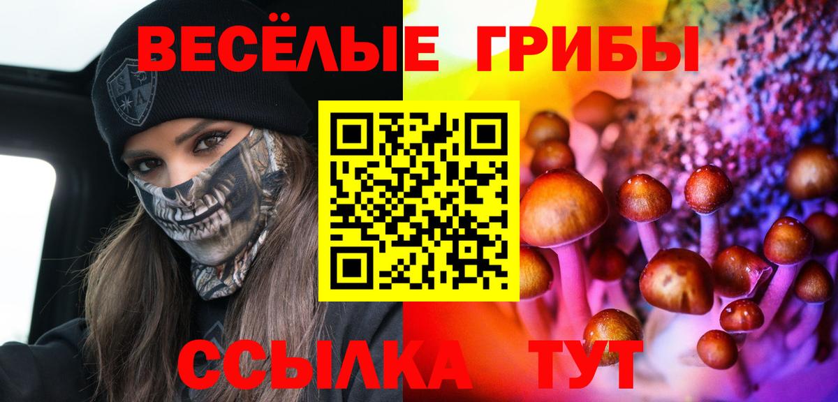 Псилоцибиновые грибы Magic Shrooms Красногорск